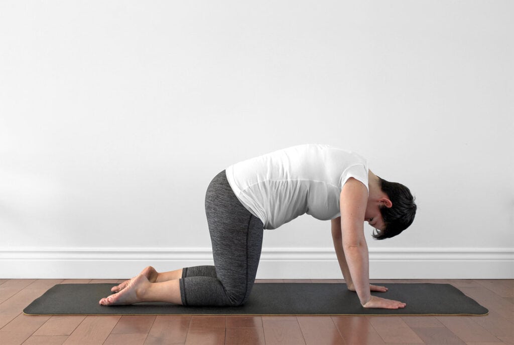 Cat pose on hands and knees, rounding the spine, prenatal yoga for early pregnancy