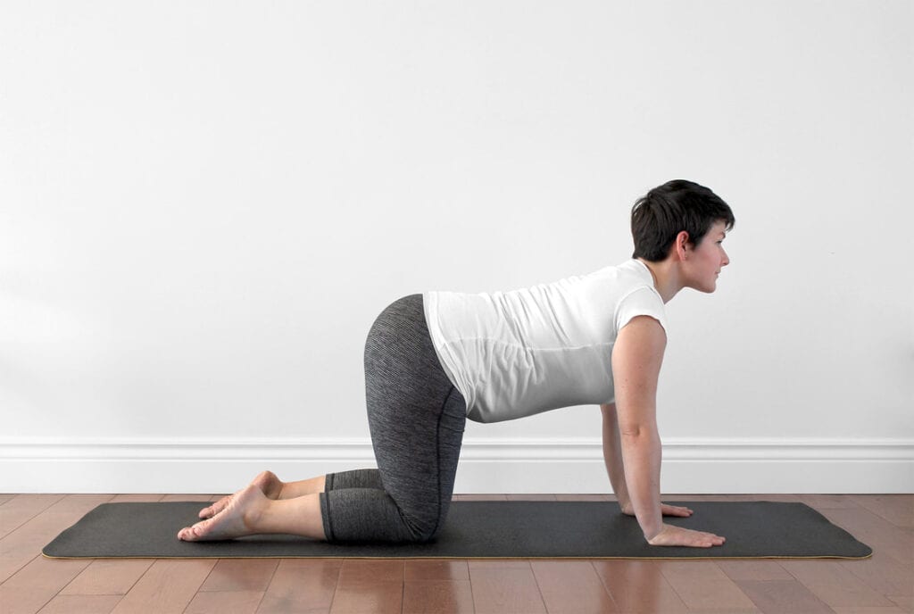 Cow pose with a gentle neutral spine during the first trimester